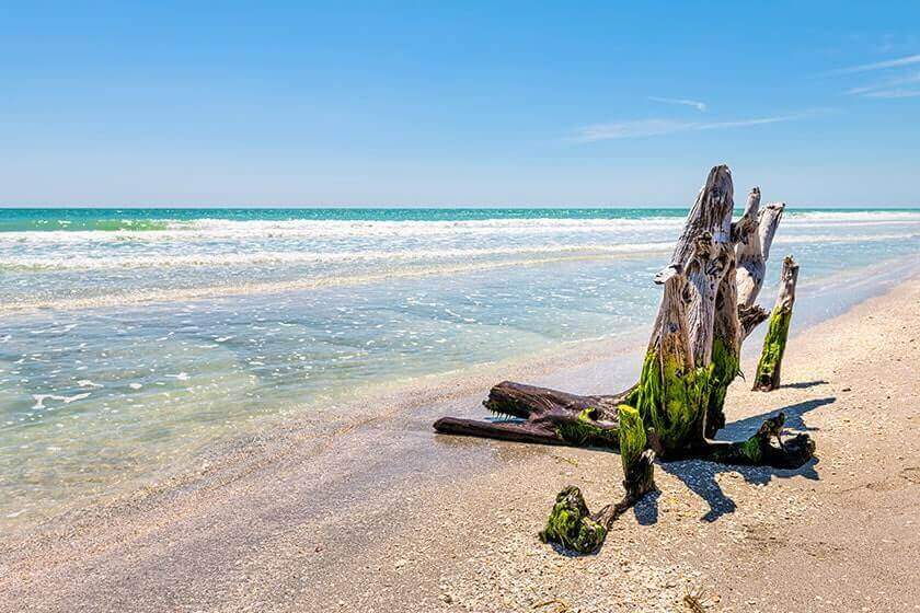 5 Reasons Many Retirees Fall In Love With Sanibel Island | Discovery  Commons by Discovery Senior Living