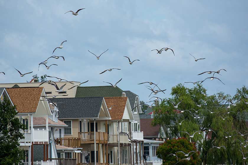 Is Calvert County, MD A Nice Place To Live In? Discovery Commons by