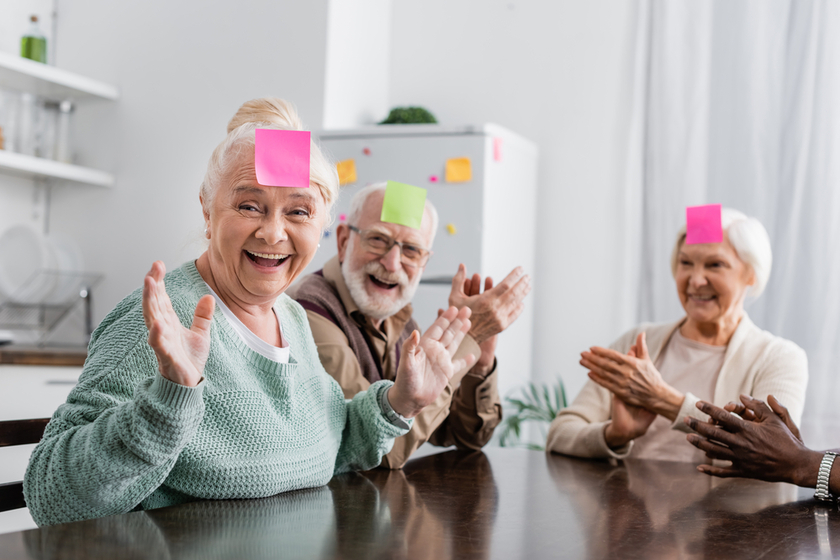 Group Homes Vs. Assisted Living Services In Manatee County, FL ...